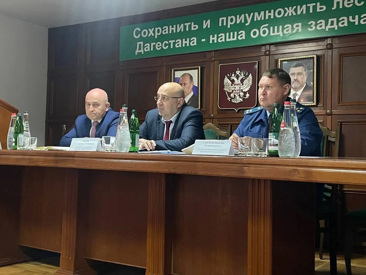 Альберт Хасауов обсудил с лесничествами долги по аренде и защиту от хищников