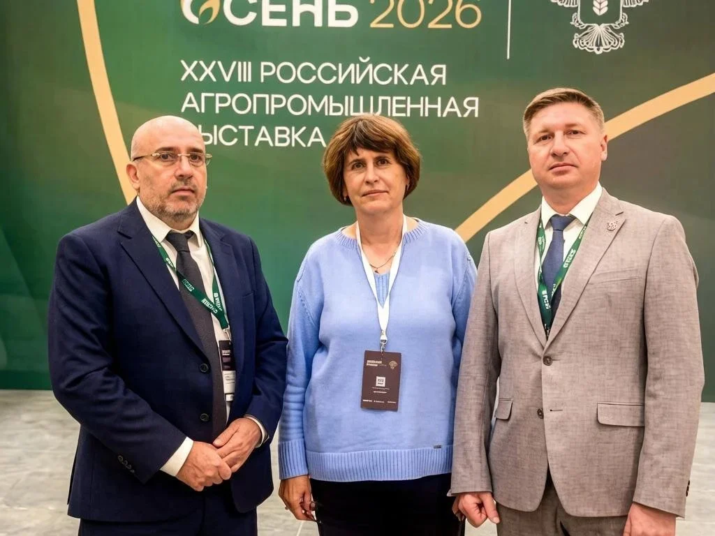 В Дагестане могут ввести карантин из-за мраморного клопа