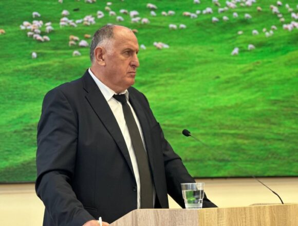 Предприятия-переработчики из Подмосковья помогут Дагестану в развитии «шерстяного кластера»
