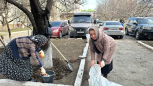Махачкалинцы объединяют усилия для благоустройства города