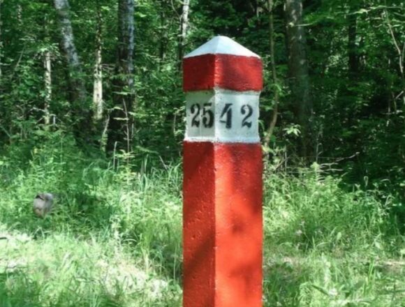 В Табасаранском лесничестве заменяют квартальные столбы