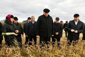 Абдулмуслим Абдулмуслимов поздравил работников сельского хозяйства с профессиональным праздником