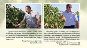 В Дагестане выпущен журнал о достижениях в виноградарстве