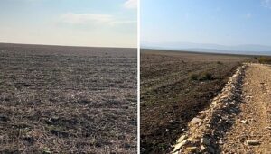 Россельхознадзор выявил несуществующие виноградники в Каякентском районе