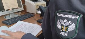 В Дагестане выявили нарушения при ввозе лесоматериала, саженцев и риса