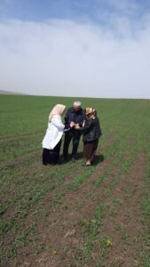 В 2025 году в Дагестане прогнозируют большой урожай зерновых