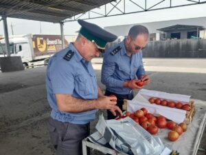 В Дагестан ввезли более 81 тысячи тонн фруктов и овощей