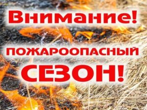 В лесничествах Дагестан объявлен пожароопасный сезон