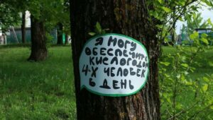В Дагестане пресекают незаконную вырубку деревьев