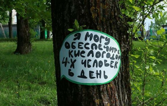 В Дагестане пресекают незаконную вырубку деревьев