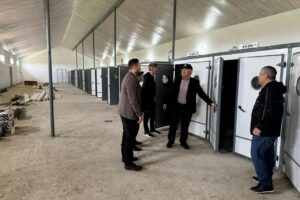 В Дагестане появится крупнейший инкубатор для производства 10 млн цыплят в год