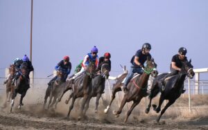 В Махачкале прошел Кубок Дагестана по конному спорту памяти Шамиля Зубаирова
