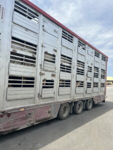 "Аргус-Фито" зафиксировал в Дагестане нарушения при импорте продукции