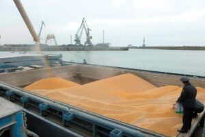 В Дагестане Россельхознадзор вынесен 270 предупреждений субъектам зернового рынка