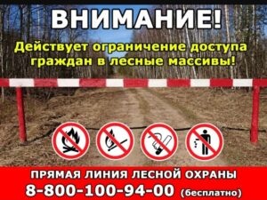В Дагестане в 7 районах ограничили посещение лесов из-за высокой пожароопасности