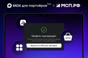 Более 700 тысяч компаний МСП получили доступ к партнерской платформе в мессенджере MAX
