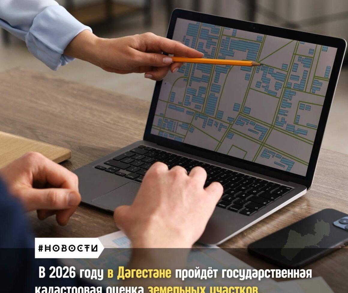 Государственная кадастровая оценка земель запланирована в Дагестане на 2026 год