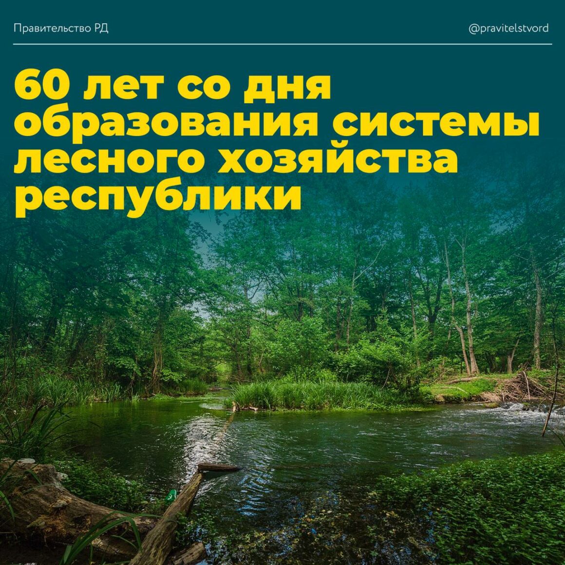 Премьер Дагестана поздравил лесников с 60-летием отрасли