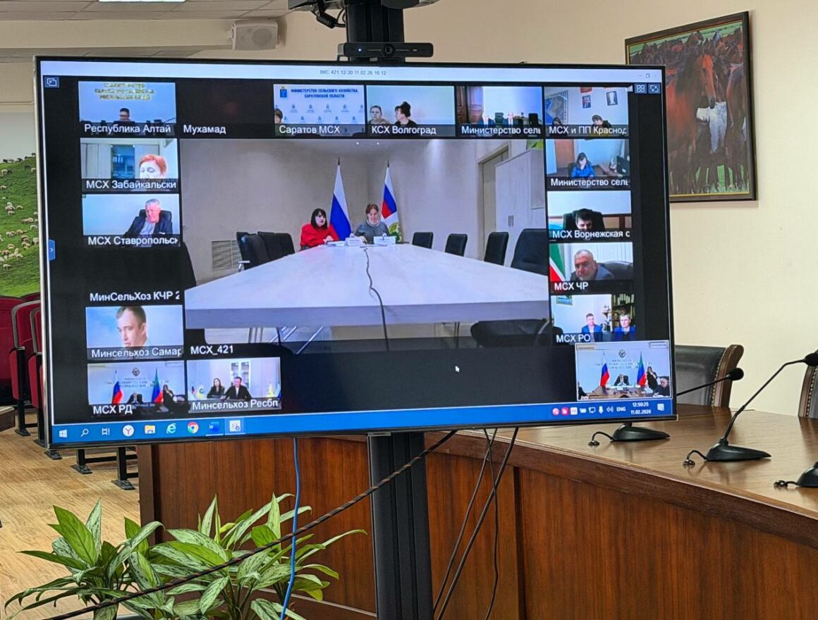 Кооперативы для централизованного сбыта шерсти планируют создать в Дагестане