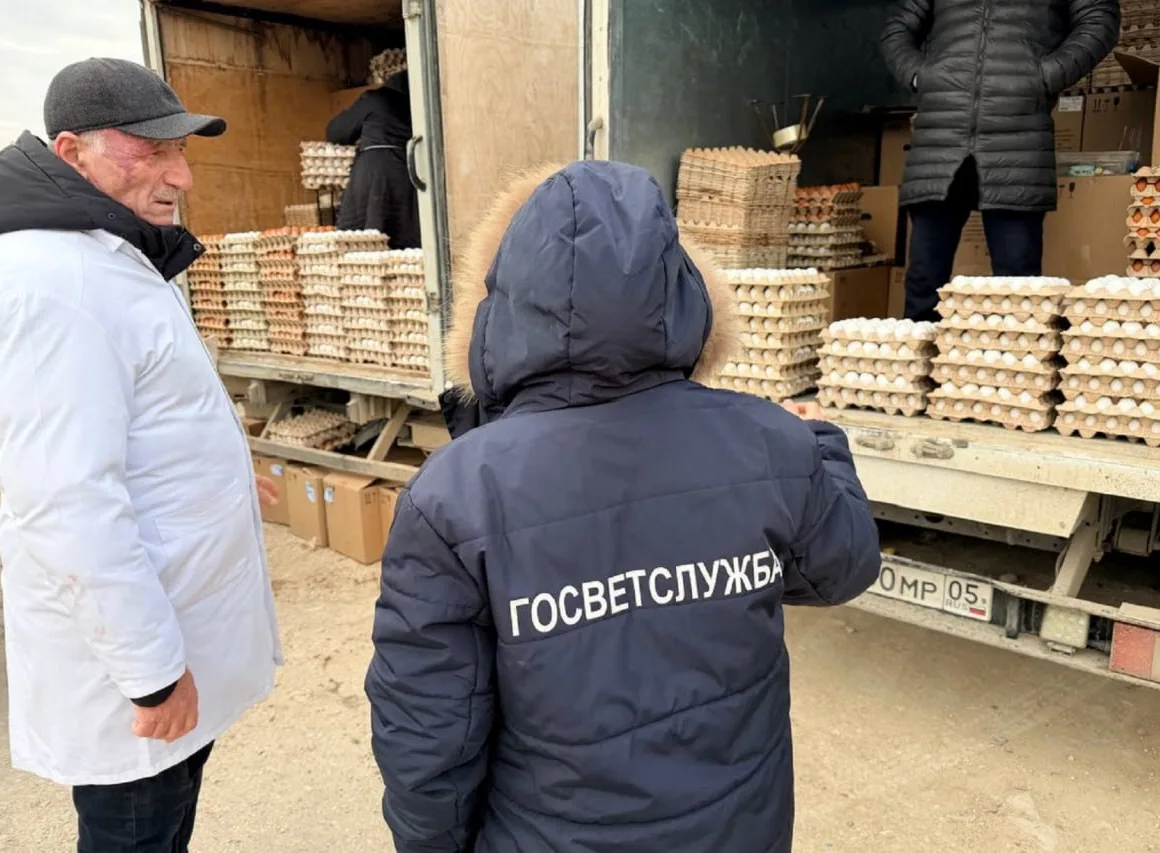 Ветслужба Дагестана подвела итоги года: проверено полмиллиона животных и тонны продуктов