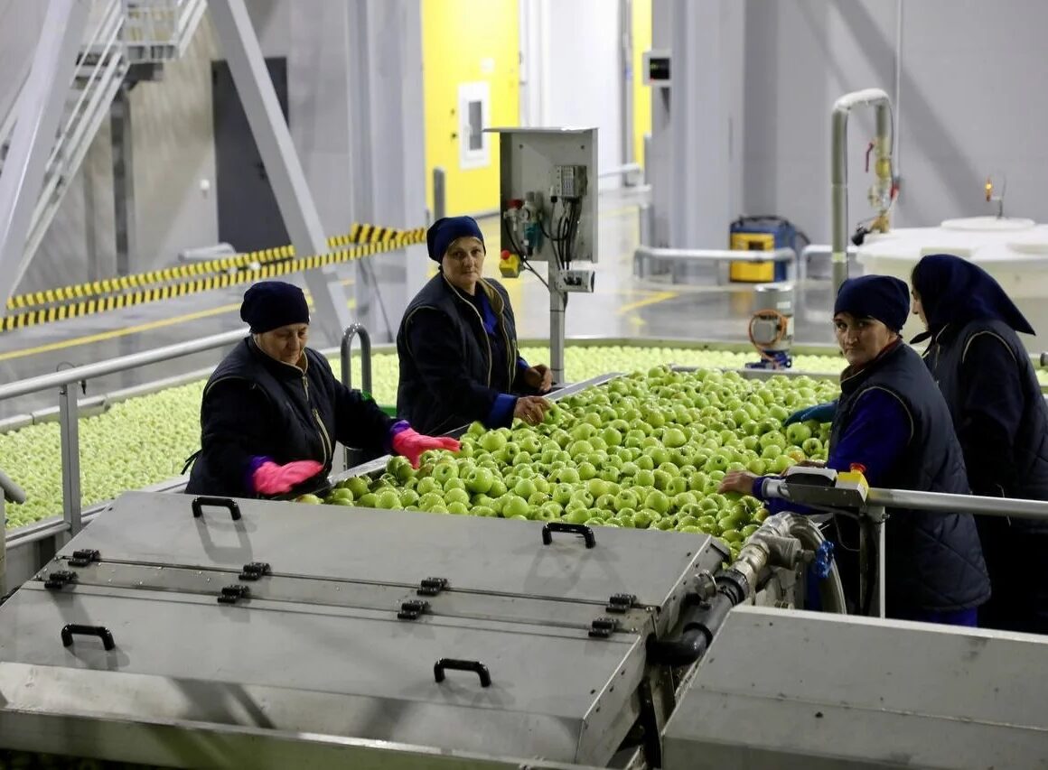 Мощности хранения сельхозпродукции в Дагестане к 2026 году достигнут 60 тысяч тонн