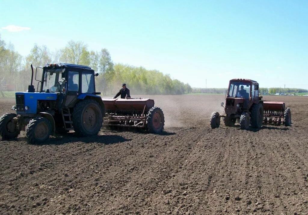 В Дагестане создадут оперштаб по контролю за посевной кампанией-2026