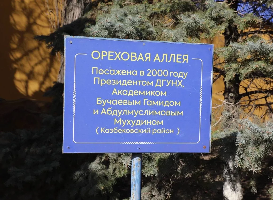 В Махачкале сыновья основателей посетили историческую ореховую аллею ДГУНХ
