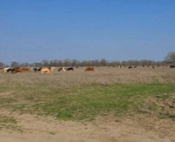 Минимущество Дагестана проверило земельный участок в Ногайском районе после обращения в соцсетях