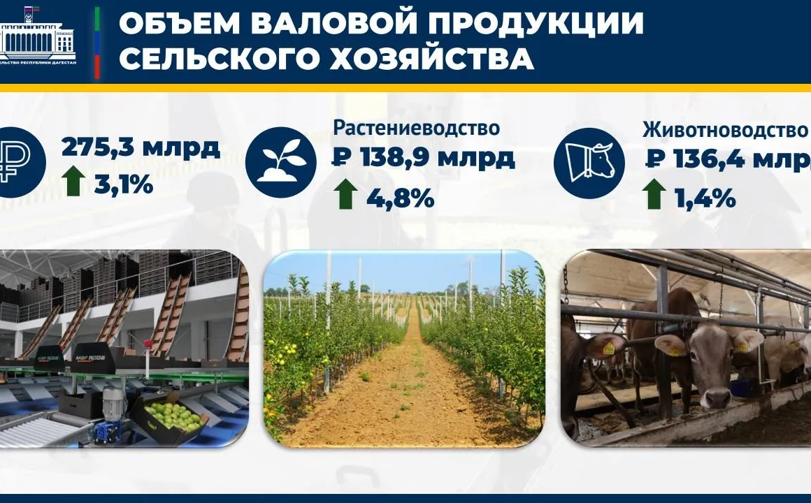 Абдулмуслимов: Дагестан совершил рывок в садоводстве и виноградарстве
