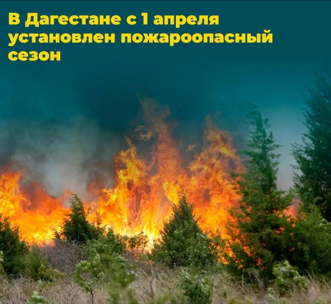 В Дагестане с 1 апреля стартует пожароопасный сезон