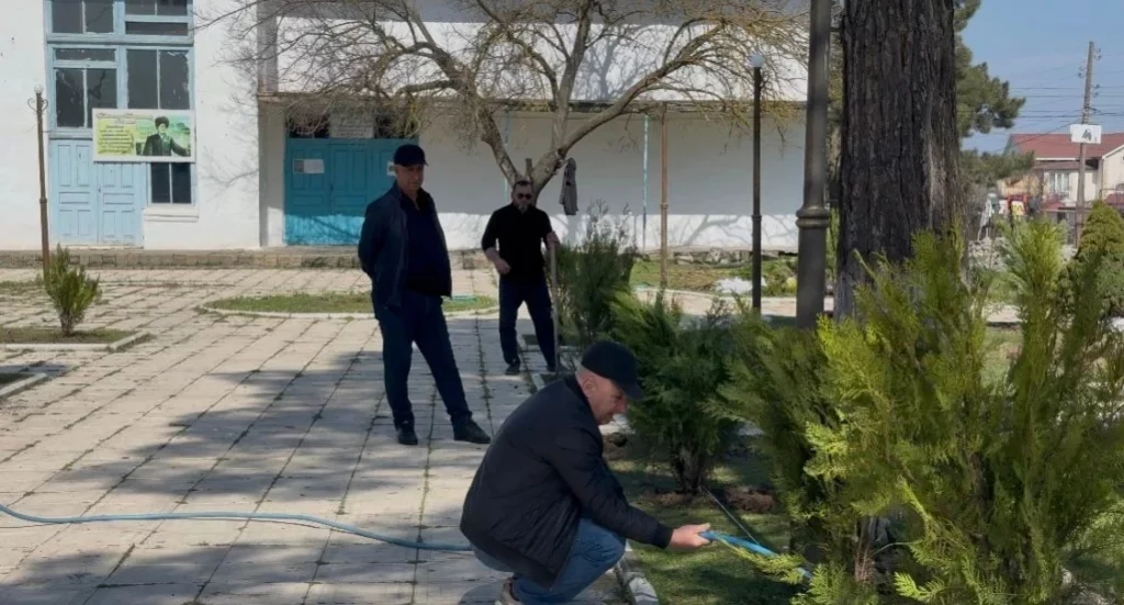 В селе Гапцах высадили 100 хвойных деревьев в рамках акции по озеленению