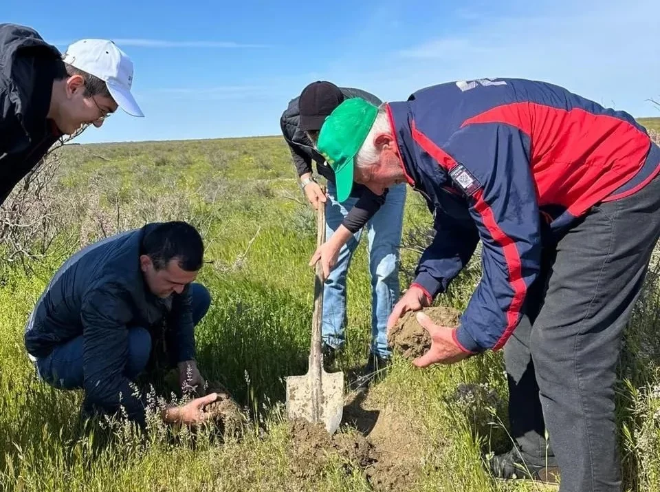 В Дагестане начался мониторинг саранчи в северных районах
