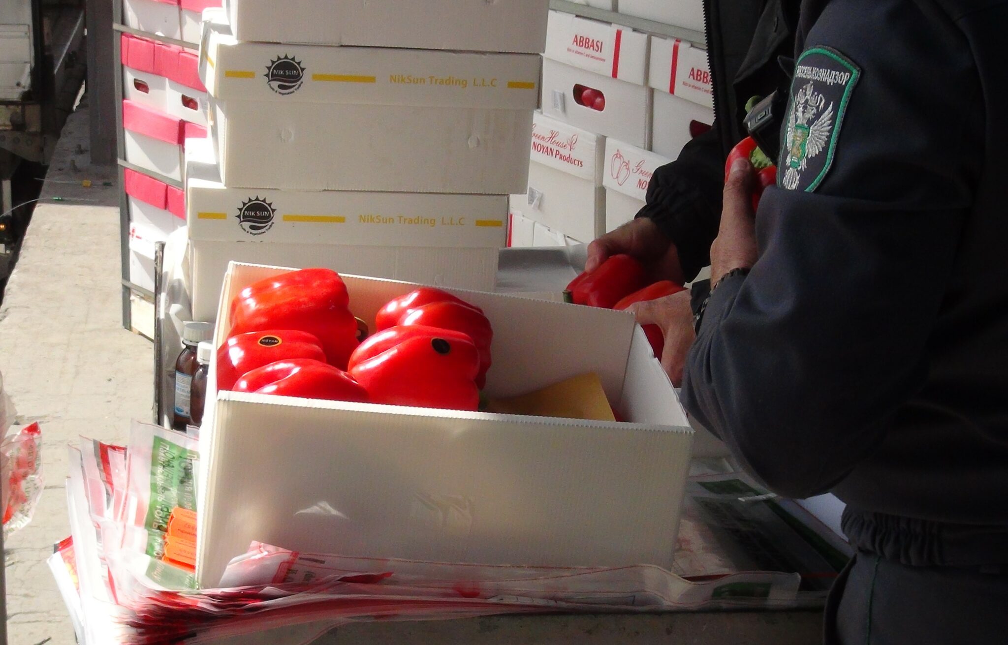 В Дагестане выявили 465 тонн зараженной подкарантинной продукции 