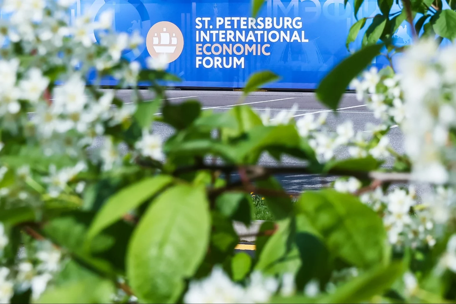На ПМЭФ-2026 приехали делегации из США и Германии