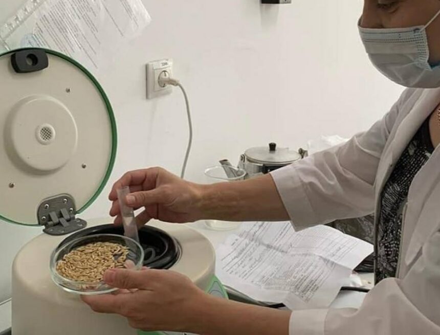 Дагестанская лаборатория получила право на официальные исследования семян